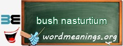 WordMeaning blackboard for bush nasturtium